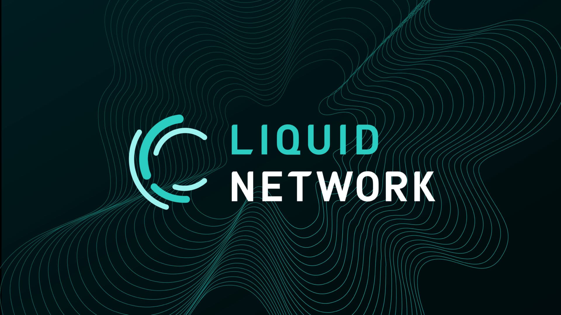 A Beginner's Guide To The Liquid Network
